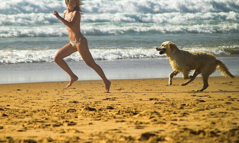 Обои девушка, пляж, собака, лабрадор, girl, beach, dog, labrador разрешение 1920x1200 Загрузить