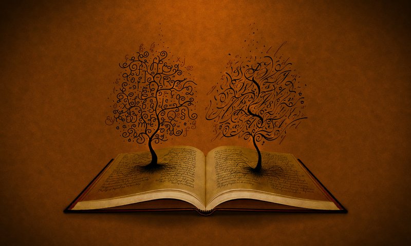 Обои деревья, буквы, книга, trees, letters, book разрешение 2560x1600 Загрузить