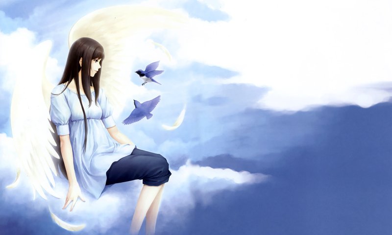 Обои облака, девушка, птицы, нежность, kara no shoujo, clouds, girl, birds, tenderness разрешение 2560x1600 Загрузить