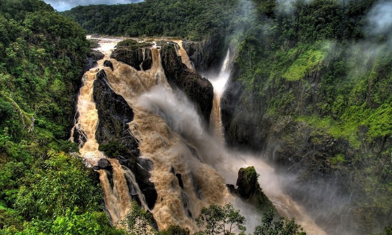 Обои деревья, река, туман, водопад, trees, river, fog, waterfall разрешение 1920x1200 Загрузить