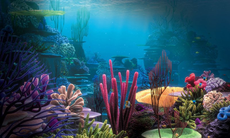 Обои природа, дно, океан, кораллы, риф, подводный мир, nature, the bottom, the ocean, corals, reef, underwater world разрешение 1920x1200 Загрузить