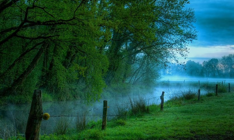 Обои река, утро, туман, луг, river, morning, fog, meadow разрешение 2560x1600 Загрузить