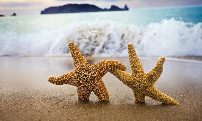 Обои берег, звезды, песок, shore, stars, sand разрешение 1920x1200 Загрузить