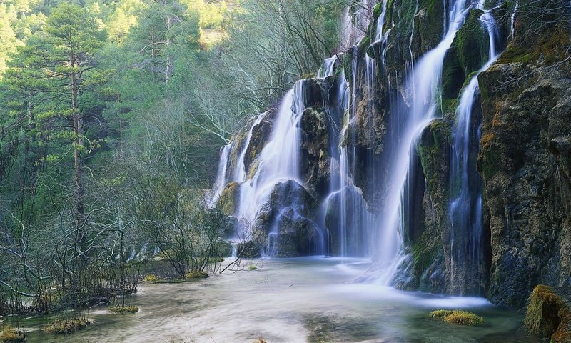 Обои деревья, лес, водопад, trees, forest, waterfall разрешение 1920x1200 Загрузить