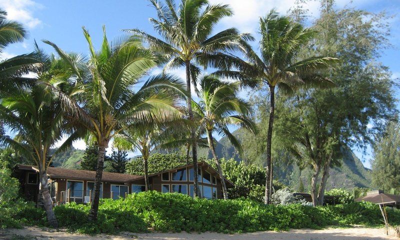 Обои пляж, лето, пальмы, дом, beach, summer, palm trees, house разрешение 1920x1080 Загрузить