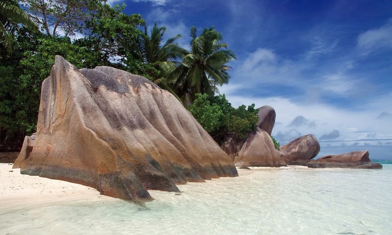 Обои камни, берег, пляж, пальмы, тропики, сейшелы, stones, shore, beach, palm trees, tropics, seychelles разрешение 1920x1200 Загрузить