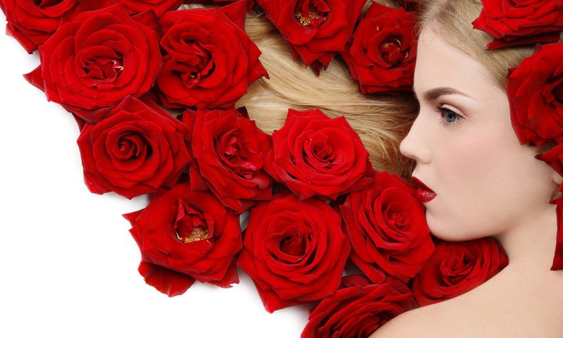 Обои цветы, девушка, блондинка, роза, красный, flowers, girl, blonde, rose, red разрешение 2560x1600 Загрузить