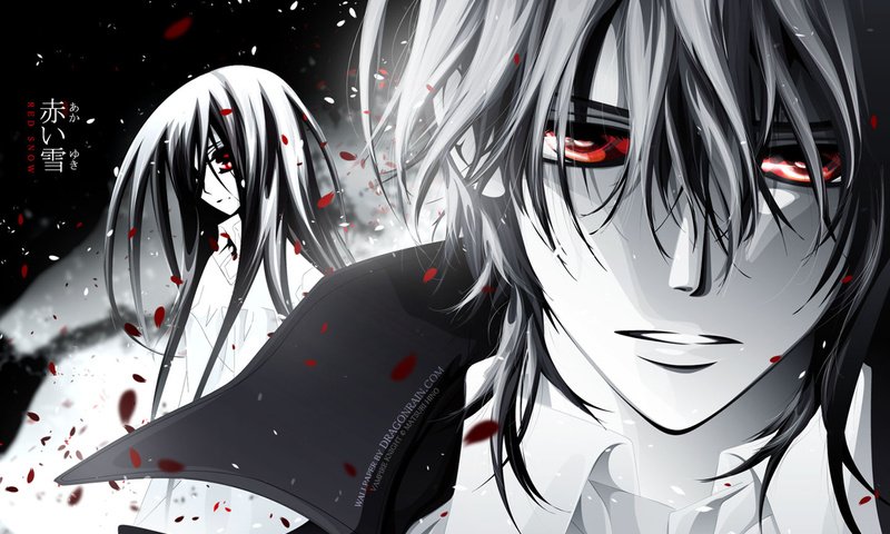 Обои cross yuuki, kuran kaname, красные глаза, red eyes разрешение 1920x1200 Загрузить