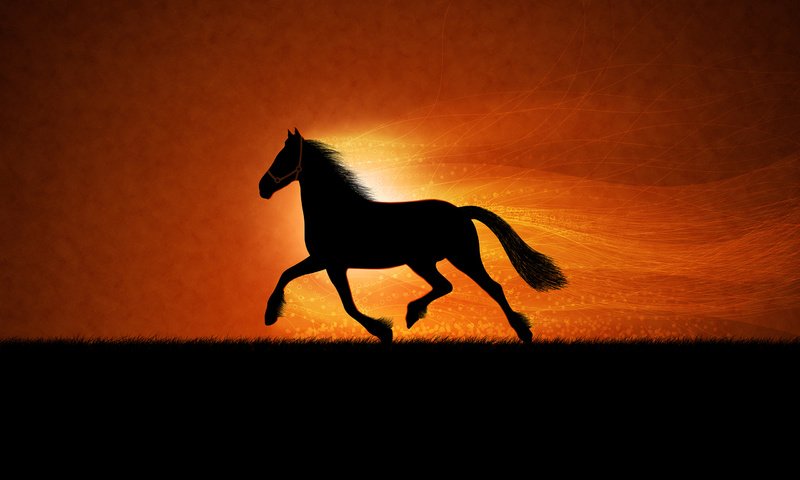 Обои рисунок, лошадь, figure, horse разрешение 2560x1600 Загрузить