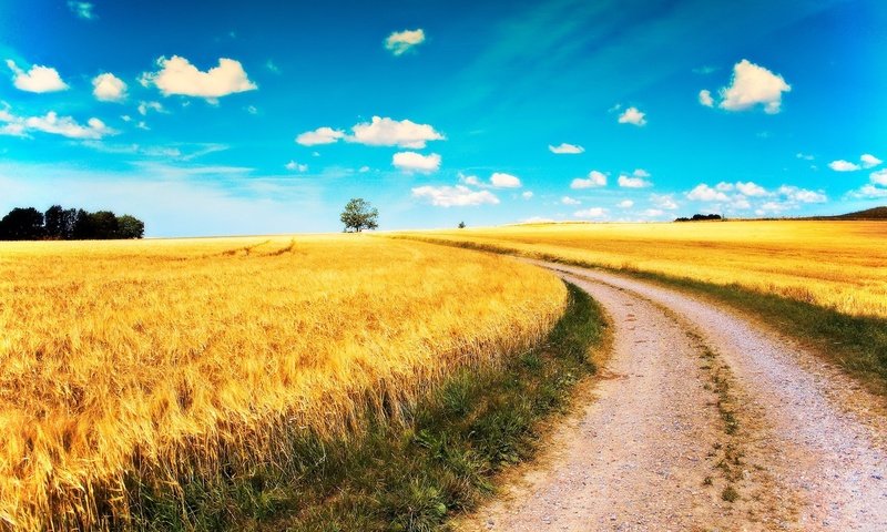 Обои небо, дорога, облака, поле, the sky, road, clouds, field разрешение 1920x1200 Загрузить