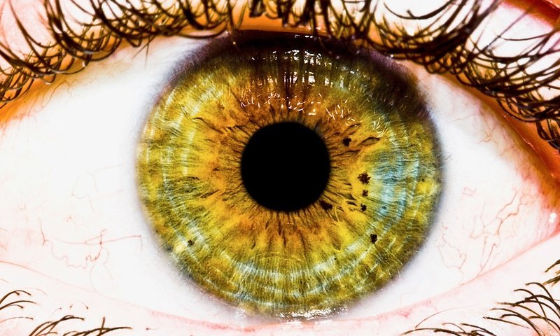 Обои глаз, макросъемка, зрачок, ресницы, eyes, macro, the pupil, eyelashes разрешение 1920x1200 Загрузить