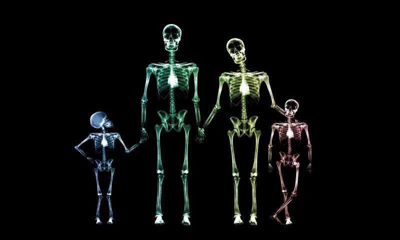 Обои семья, рентген, скелет, family, x-ray, skeleton разрешение 1920x1200 Загрузить