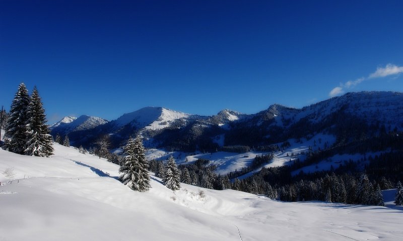 Обои деревья, горы, снег, зима, trees, mountains, snow, winter разрешение 2560x1600 Загрузить