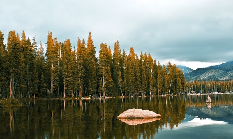 Обои деревья, леса, вода, озеро, река, камни, обои, пейзажи, красота, trees, forest, water, lake, river, stones, wallpaper, landscapes, beauty разрешение 2560x1600 Загрузить