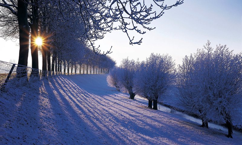 Обои деревья, снег, зима, иней, нидерланды, trees, snow, winter, frost, netherlands разрешение 1920x1200 Загрузить