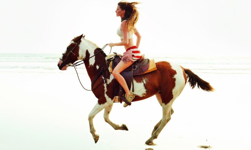Обои лошадь, девушка, пляж, модель, жезель бунхен, жизель бундхен, horse, girl, beach, model, zhezel ' bunchen, gisele bundchen разрешение 1920x1200 Загрузить