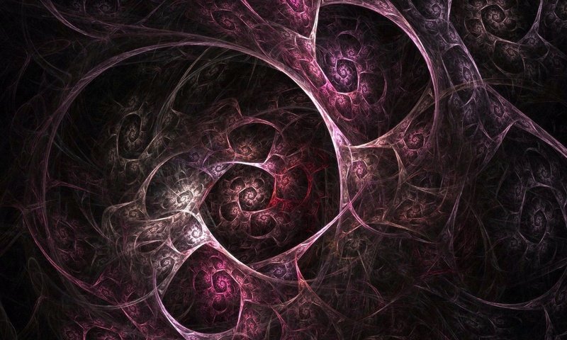 Обои линии, узоры, хаос, line, patterns, chaos разрешение 1920x1200 Загрузить