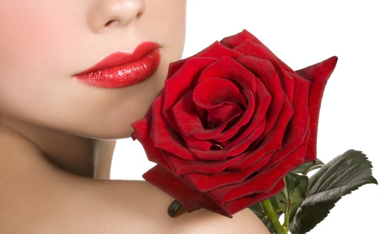 Обои девушка, роза, красная, губы, плечо, помада, girl, rose, red, lips, shoulder, lipstick разрешение 2560x1600 Загрузить