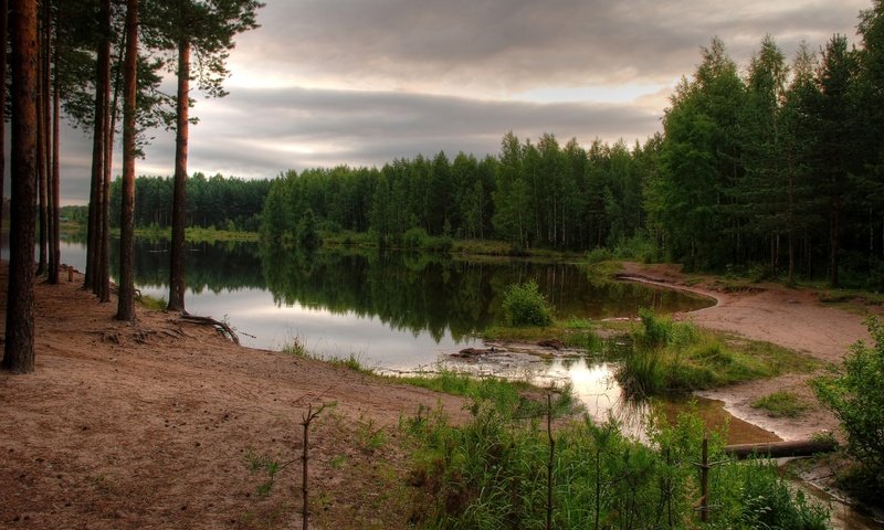 Обои небо, лес, водоем, the sky, forest, pond разрешение 2560x1600 Загрузить