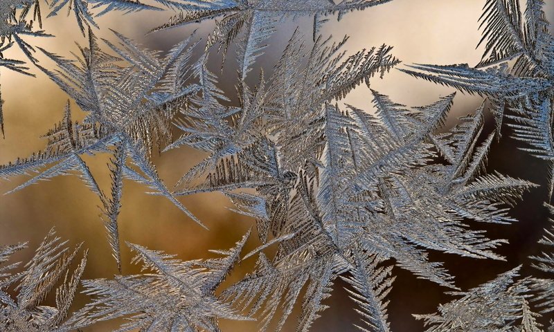 Обои зима, стекло, наледь, winter, glass, frost разрешение 1920x1200 Загрузить