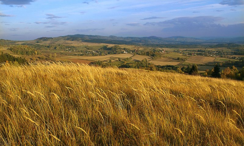 Обои небо, облака, холмы, природа, пейзаж, поле, колосья, польша, the sky, clouds, hills, nature, landscape, field, ears, poland разрешение 1920x1200 Загрузить