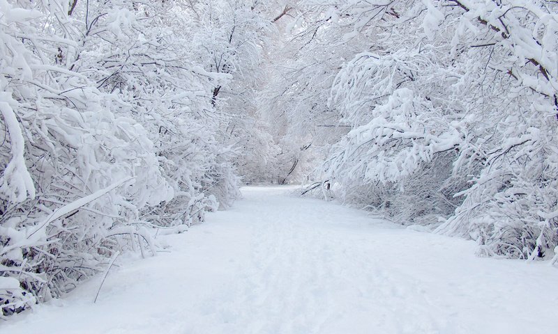 Обои дорога, снег, зима, road, snow, winter разрешение 1920x1280 Загрузить