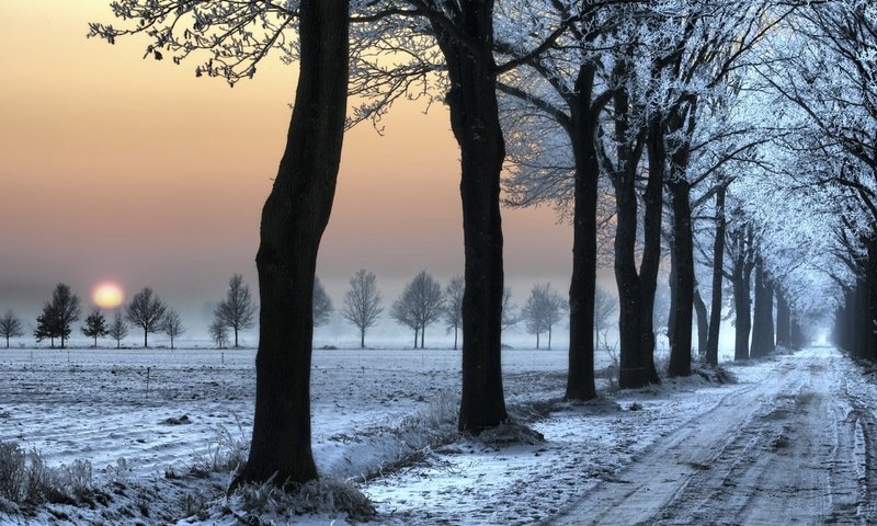 Обои дорога, снег, зима, следы, деревь, road, snow, winter, traces, trees разрешение 2560x1600 Загрузить