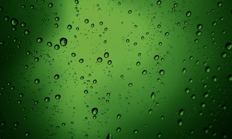 Обои обои, текстура, зелёный, макро, капли, пузыри, бульки, green texture, water drops style, wallpaper, texture, green, macro, drops, bubbles, bulka разрешение 2560x1600 Загрузить