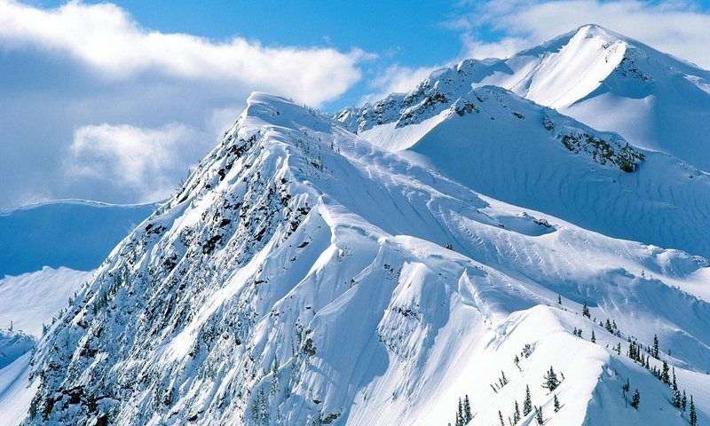 Обои небо, деревья, горы, скалы, снег, склон, the sky, trees, mountains, rocks, snow, slope разрешение 1999x1333 Загрузить