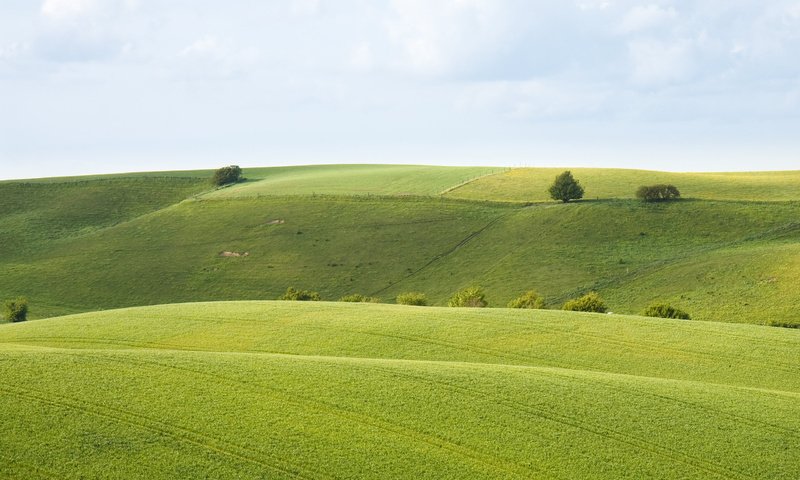 Обои обои, поле, на природе, фоновые рисунки, wallpaper, field, nature, wallpapers разрешение 2560x1600 Загрузить