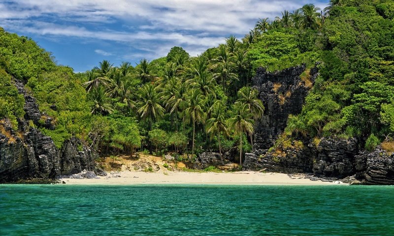 Обои пляж, пальмы, в укромном месте, beach, palm trees, in a secluded place разрешение 1920x1200 Загрузить