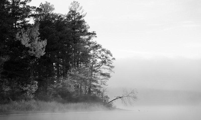 Обои деревья, вода, озеро, лес, туман, чёрно-белое, черно-белая, trees, water, lake, forest, fog, black and white разрешение 1920x1200 Загрузить