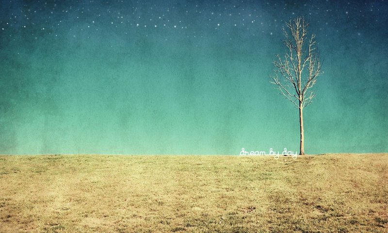 Обои дерево, текстура, поле, tree, texture, field разрешение 1920x1200 Загрузить