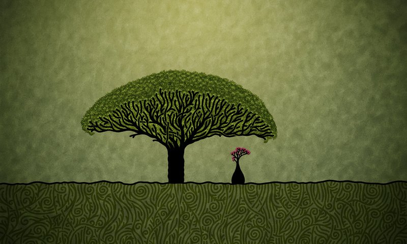 Обои рисунок, минимализм, баобаб, figure, minimalism, baobab разрешение 2560x1600 Загрузить