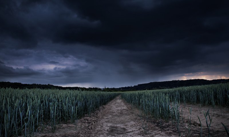 Обои буря, поле, затишье, storm, field, lull разрешение 2560x1600 Загрузить