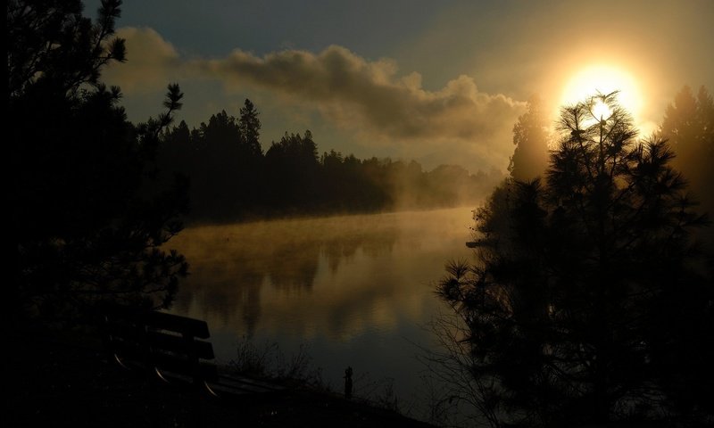 Обои небо, облака, деревья, река, солнце, пейзаж, скамья, the sky, clouds, trees, river, the sun, landscape, bench разрешение 1920x1200 Загрузить