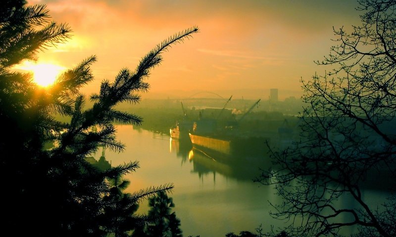 Обои деревья, утро, порт, trees, morning, port разрешение 1920x1440 Загрузить