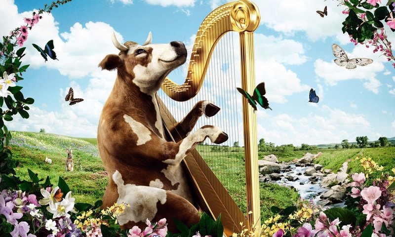 Обои природа, корова, арфа, nature, cow, harp разрешение 1920x1200 Загрузить