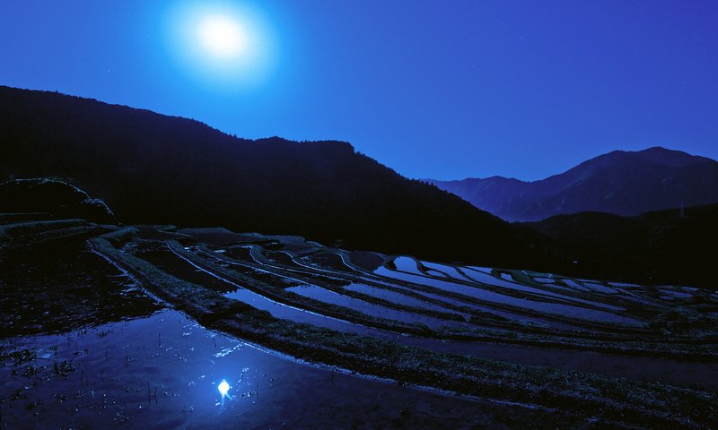 Обои ночь, луна, япония, японии, moon, рисовое поле, night, the moon, japan, rice field разрешение 1920x1080 Загрузить