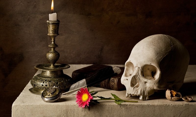Обои череп, свеча, книга, skull, candle, book разрешение 4056x2830 Загрузить