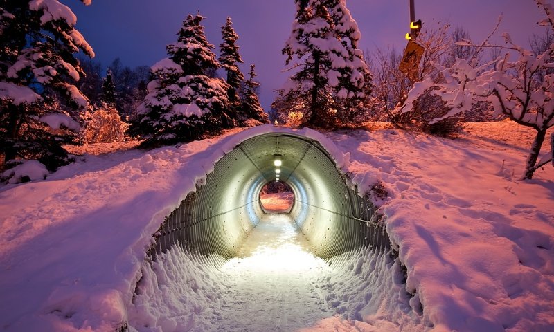 Обои деревья, снег, зима, туннель, trees, snow, winter, the tunnel разрешение 3574x2456 Загрузить