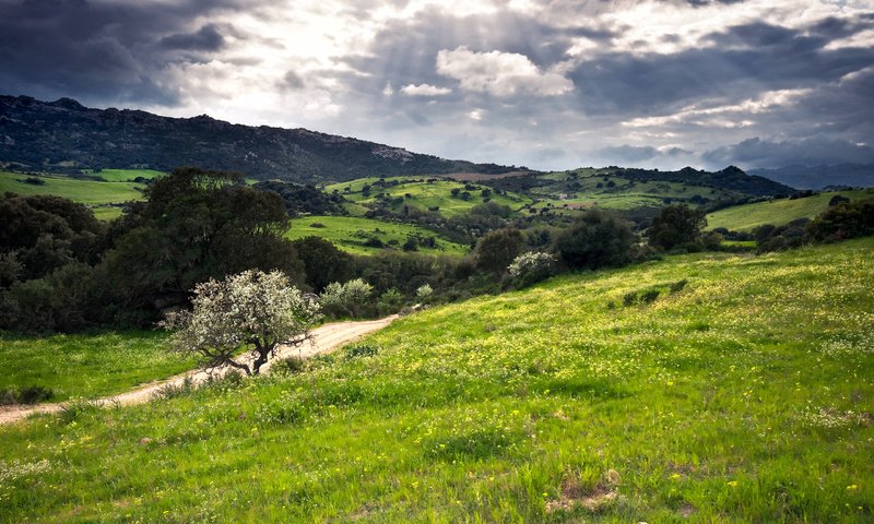 Обои холмы, зелень, италия, сардиния, hills, greens, italy, sardinia разрешение 2560x1600 Загрузить