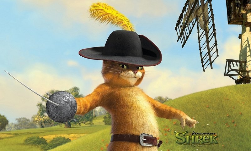 Обои кот, шляпа, шрек, кот из шрека, cat, hat, shrek, the cat from shrek разрешение 1920x1080 Загрузить