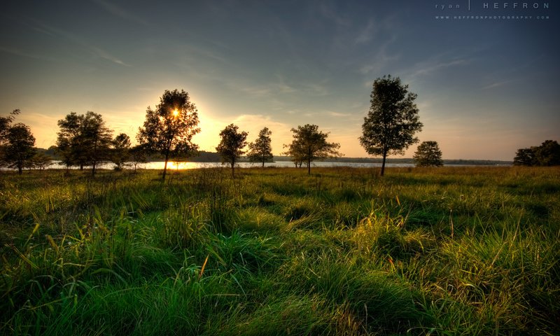 Обои трава, река, солнце, дерево, закат, grass, river, the sun, tree, sunset разрешение 1920x1200 Загрузить