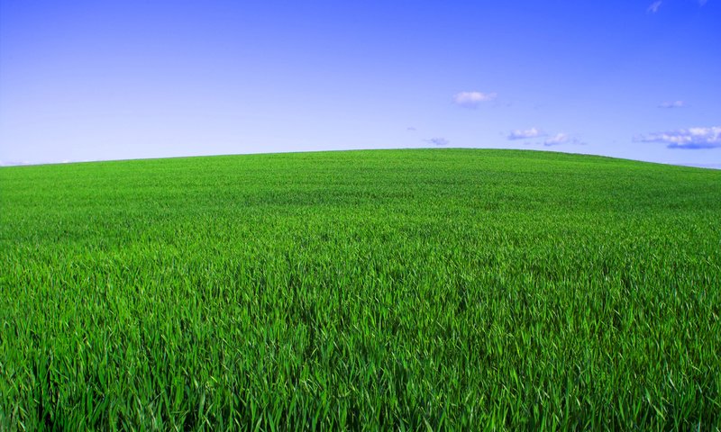 Обои небо, трава, зелёный, поле, горизонт, the sky, grass, green, field, horizon разрешение 2560x1600 Загрузить