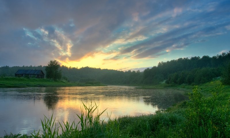 Обои трава, озеро, лес, отражение, grass, lake, forest, reflection разрешение 1920x1080 Загрузить