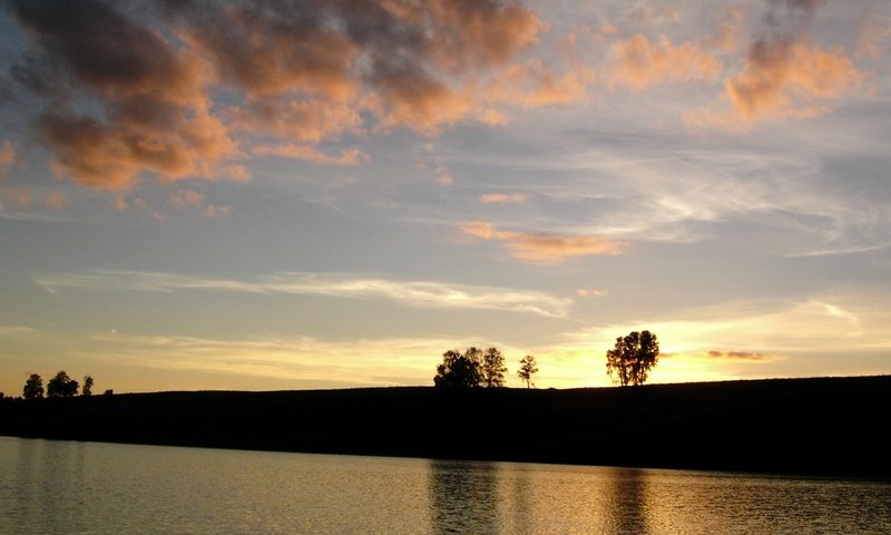 Обои облака, вечер, природа, дерево, закат, clouds, the evening, nature, tree, sunset разрешение 1920x1080 Загрузить