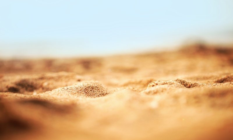 Обои природа, обои, макро, песок, пляж, песка, nature, wallpaper, macro, sand, beach разрешение 2560x1600 Загрузить