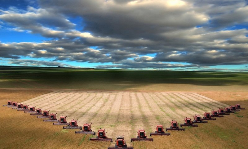 Обои облака, поле, горизонт, комбайнеры, clouds, field, horizon, combiners разрешение 1920x1440 Загрузить