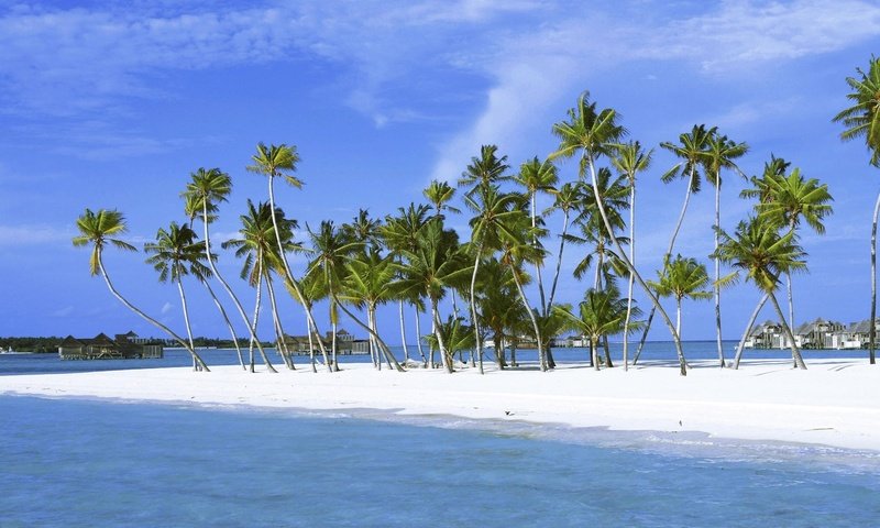 Обои песок, пальмы, остров, sand, palm trees, island разрешение 1920x1200 Загрузить